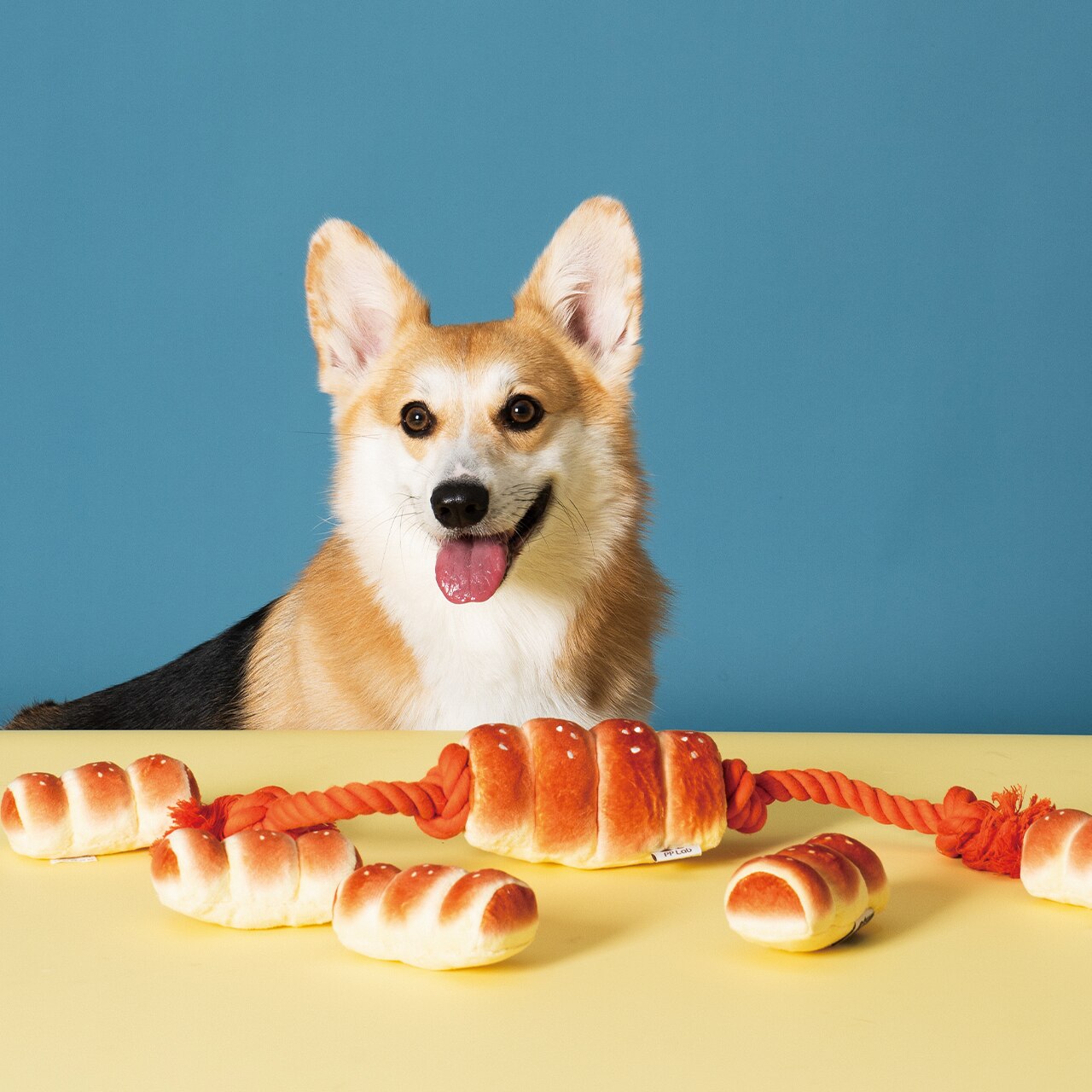 PP Lab Sausage Bun (Large) Pet tug toys